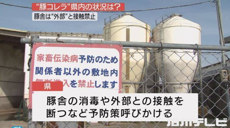豚コレラは石川県で発見されているのか